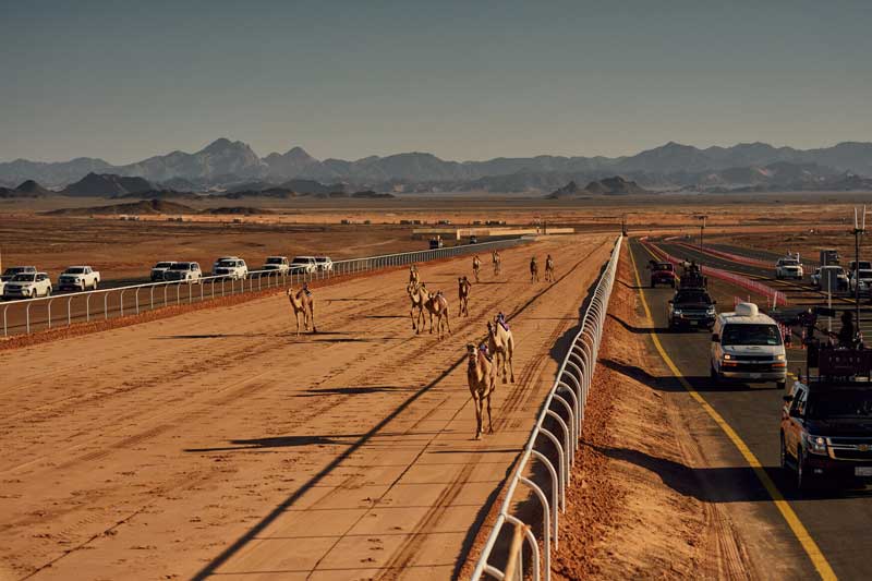 Amura,AmuraWorld,AmuraYachts, AlUla recibió a los participantes de la Arab Cup del Camel Racing y el World Championship del International Camel Endurance.