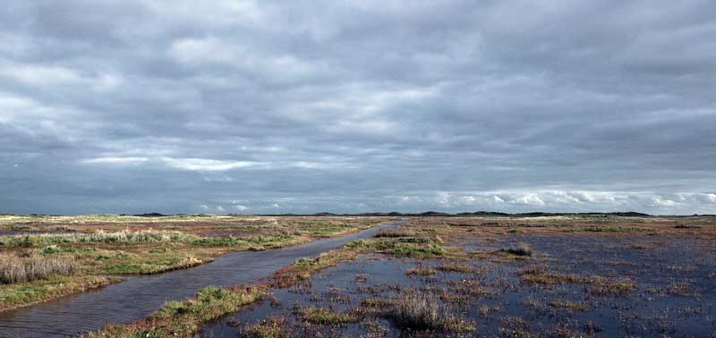 
The Wadden Sea represents a worldwide unique ecosystem of its kind.
