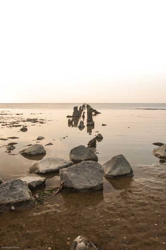 Wadden Sea landscape in the German zone. 

