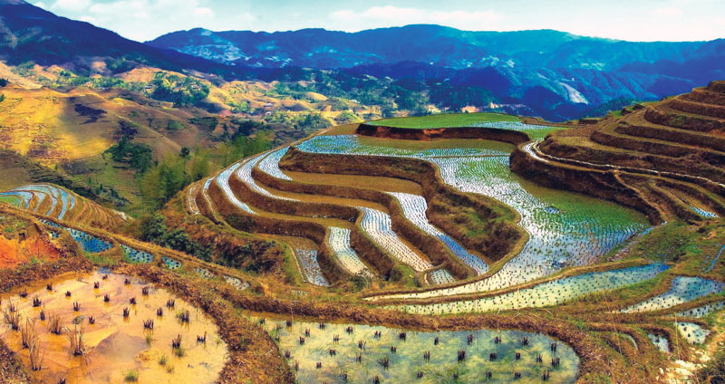 Rice terraces at the mountains of Ifugao in Banaue, a UNESCO World Heritage Site recognized by UNESCO which is close to Manila, Philippines.

