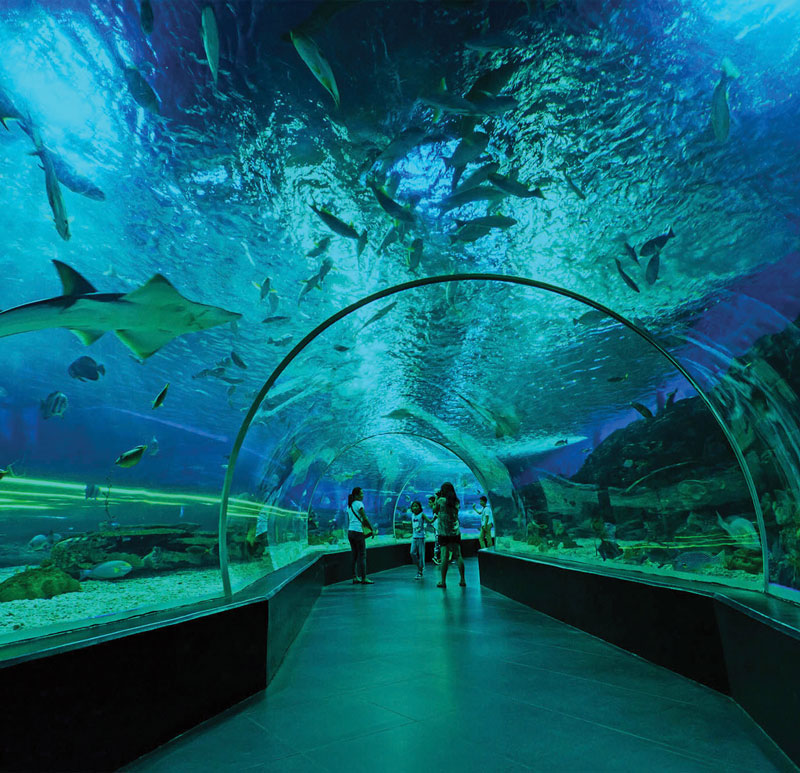 The impressive Manila Ocean Park.
