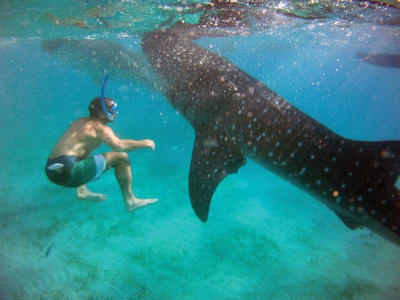 There are wonderful encounters through  responsible diving.
