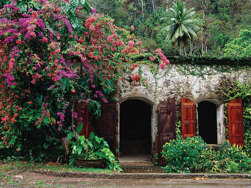 Molino de azucar de la finca Invergoil (1860), Anse La Raye 
