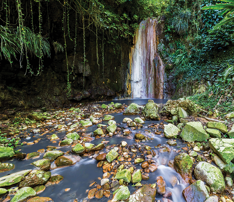 Diamante es el jardín botánico más antiguo de la Isla 
