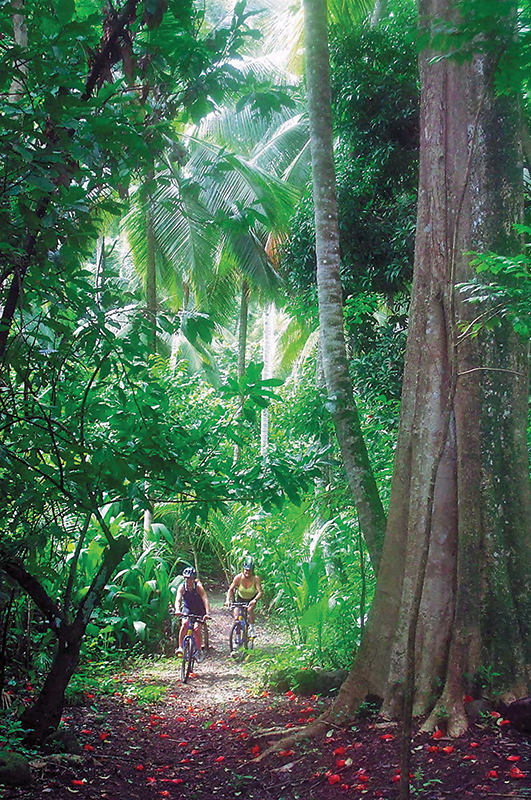 Una vivencia cercana con la naturaleza  
