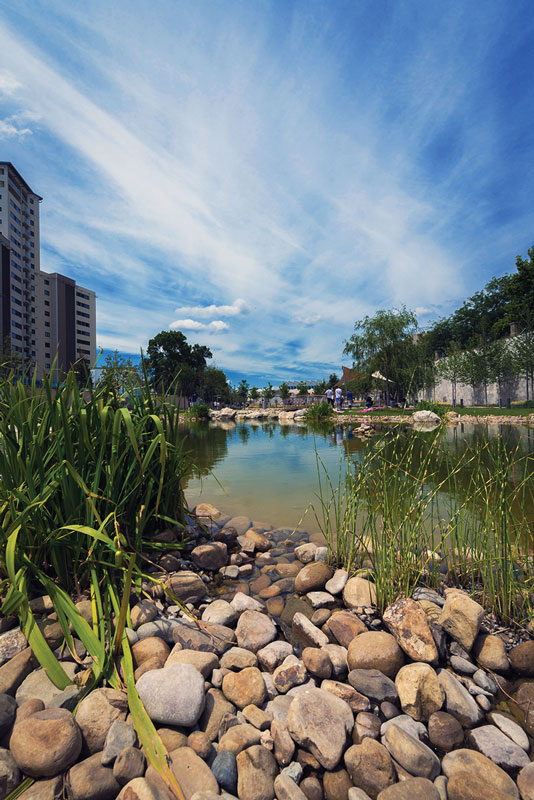 The Commonwealth Park was founded in June 2014. 
