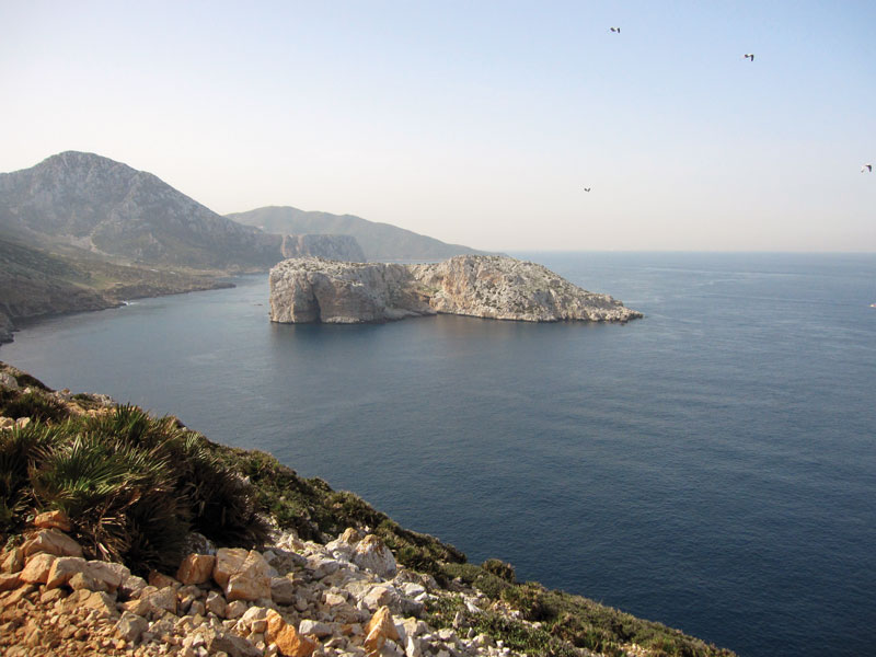 Perejil Island could be Eritrea: scenery of Hercules’ tenth labor.

