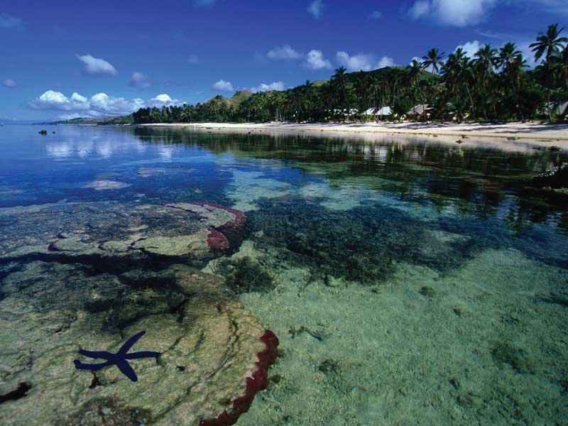 A Fiji se le conoce como la capital mundial del coral suave con más de 10,000 km2 de arrecifes y cientos de especies. 
