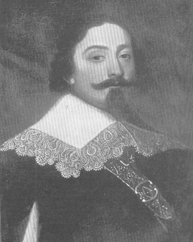 Abel Tasman descubrió las islas de Fiyi en 1643. 
