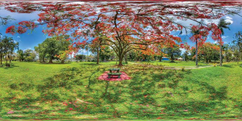 Jardines de Thurston en Suva, Fiyi.
