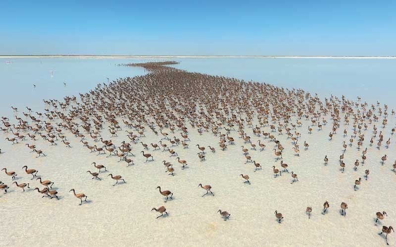 Amura,AmuraWorld,AmuraYachts,El lago Tuz el “espejo de cielo” de Turquía, Turkey has 9,576 ha of protected areas.